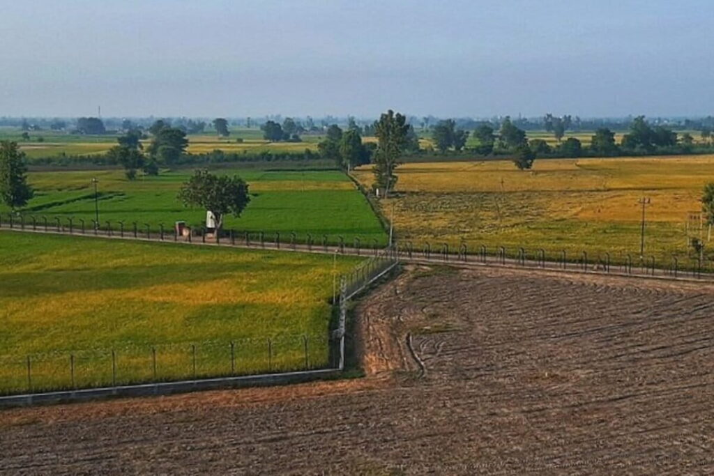 जीन-एडिटेड चावल: खेतों में दस्तक देने जा रही है दूसरी हरित क्रांति जीन-एडिटेड चावल: खेतों में दस्तक देने जा रही है दूसरी हरित क्रांति